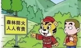 森林防火完整视频吃瓜,视频揭示火灾无情，守护绿色家园