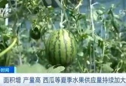 晋江闽南吃瓜群众