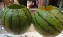 有哪些吃瓜的论坛,网络热议背后的真相与趣味