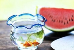 黑暗吃瓜中心,网络舆论场的暗流涌动