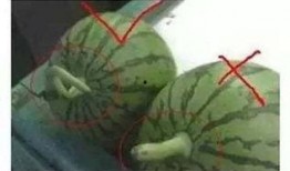 上音418吃瓜,一场关于“吃瓜”的校园热议事件深度解析