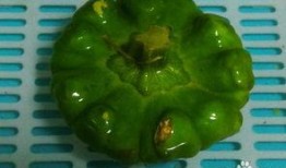 姜饼瓜火锅怎么吃