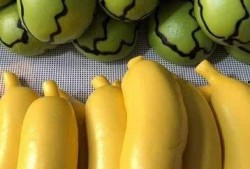 来吧买瓜吃,来吧买瓜吃，尽享清凉时光