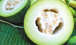 吃瓜李美人,娱乐圈的神秘魅力与真实生活