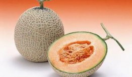 9个月可以吃哈密瓜