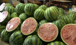 平邑吃瓜富贵元,探寻瓜果中的财富密码