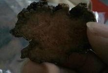 瓜洲锁阳如何吃,传统滋补佳品的多重食用方法揭秘