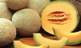 糖尿病可以吃哈密瓜,糖尿病患者的哈密瓜饮食指南
