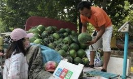 平邑吃瓜富贵元,探寻瓜果中的财富密码