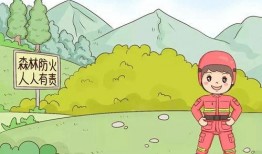 森林防火完整视频吃瓜,视频揭示火灾无情，守护绿色家园