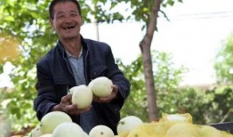 破站吃瓜,揭秘网络热点背后的真相与笑料