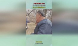 给大叔吃瓜,一起吃瓜解暑趣事多