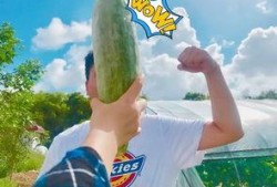 网红学霸吃瓜图片,揭秘学霸日常趣味一面