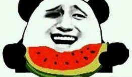 给大叔吃瓜,一起吃瓜解暑趣事多