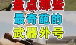 带你吃瓜奇葩枪,一场另类枪械的奇幻之旅