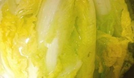 萝北吃瓜的粉丝