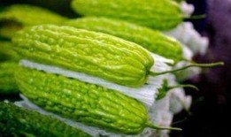 吃凉瓜能降火吗怎么吃,正确食用方法揭秘