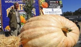 华兰吃瓜遇超大瓜,娱乐圈风云再起