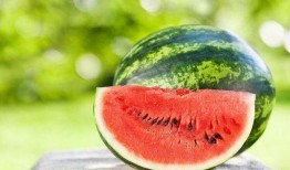 吃瓜长录屏,揭秘娱乐圈幕后故事