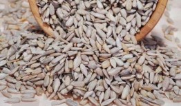 吃瓜必须吃瓜子仁,吃瓜者的必备之选