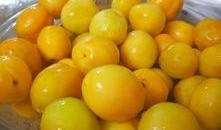 库尔勒有瓜吃,瓜果飘香，尽享甜蜜之旅