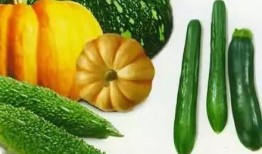 湘军吃瓜,揭秘吃瓜背后的历史真相