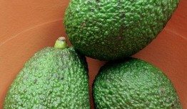 吃哈密瓜嘴巴红,甜蜜滋味，红唇见证