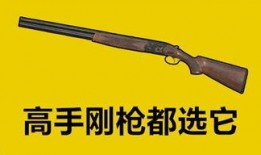 带你吃瓜奇葩枪,一场另类枪械的奇幻之旅